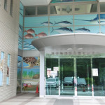 若狭の海をまるごと楽しもう「福井県海浜自然センター」